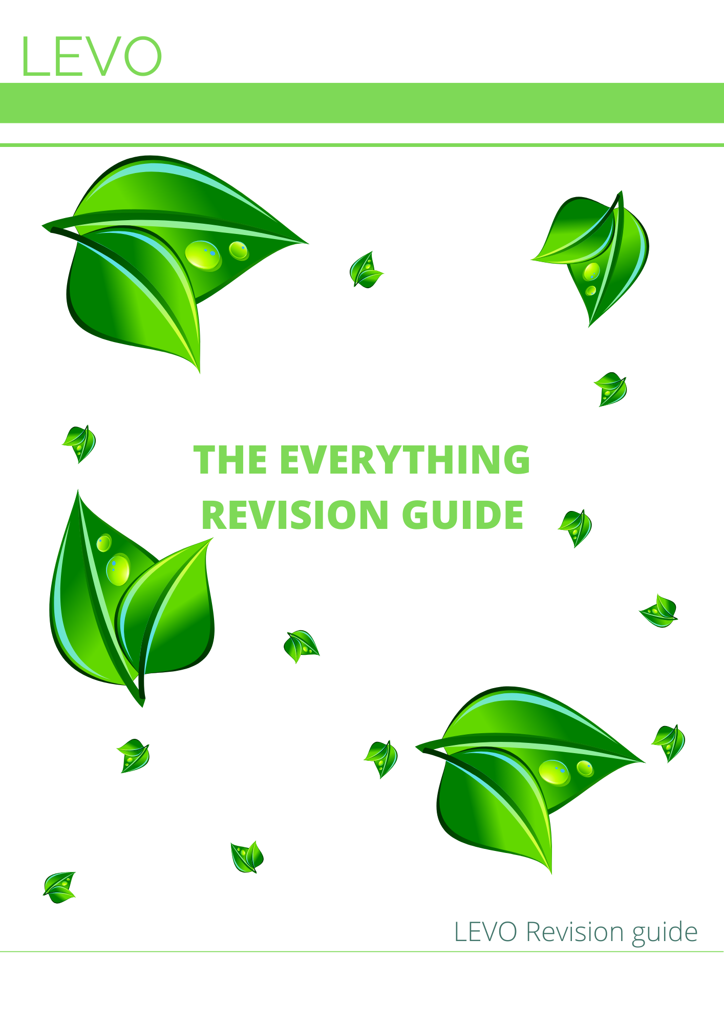 LEVO- EVERYTHING REVISION GUIDE