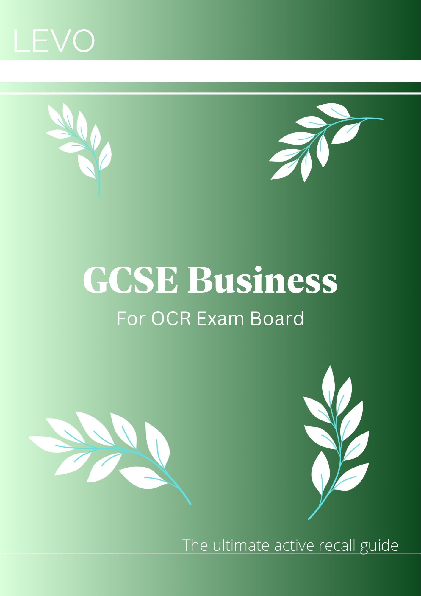 GCSE Business- OCR