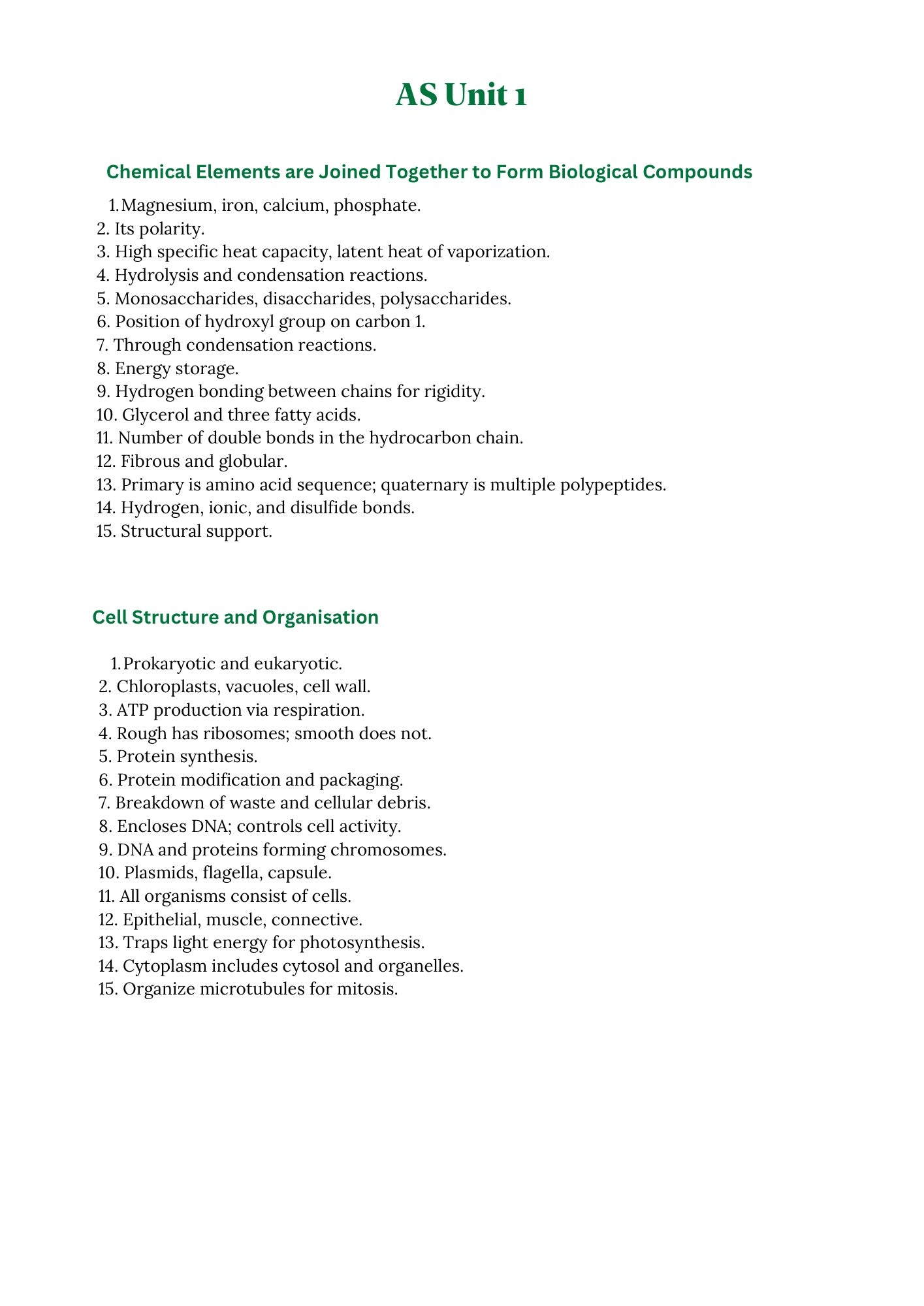 WJEC A level Biology